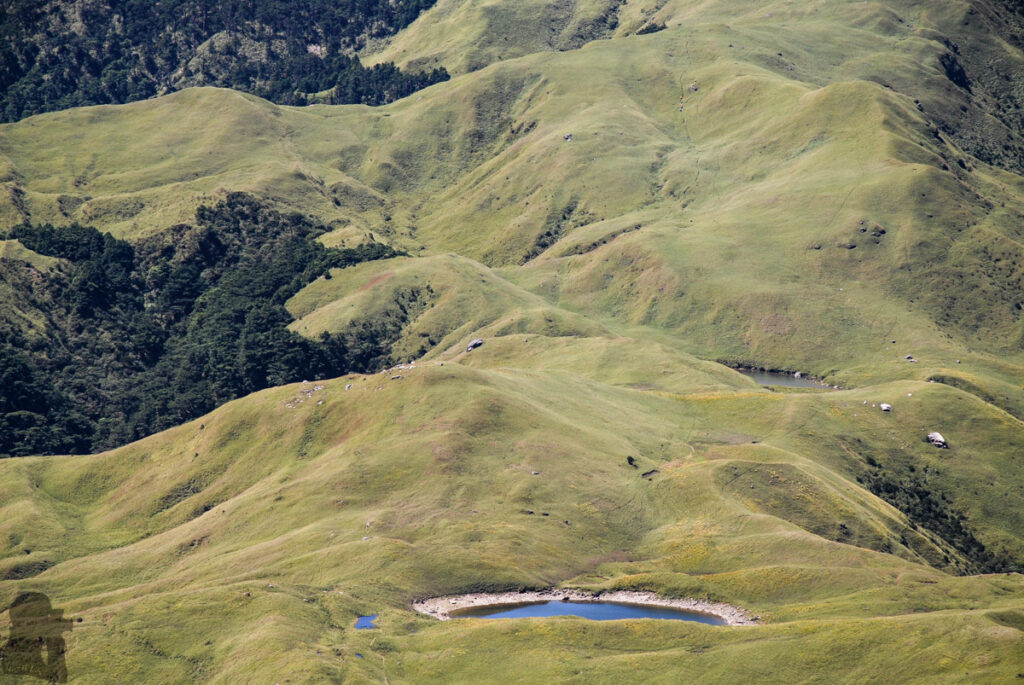 Nenggao-Andongjun Trail (能高安東軍); Hiking on the Dreamy Alpine Grassland Baishi Pond (白石池)