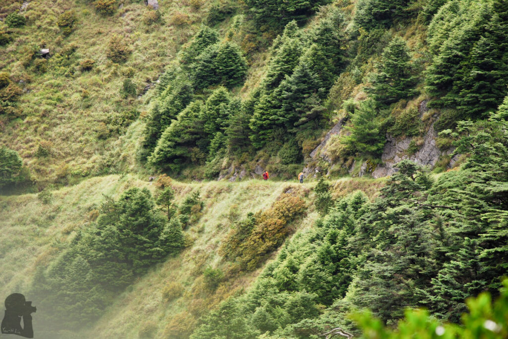 Nenggao-Andongjun Trail (能高安東軍); Hiking on the Dreamy Alpine Grassland Nenggao Cross-Ridge Trail (能高越嶺)