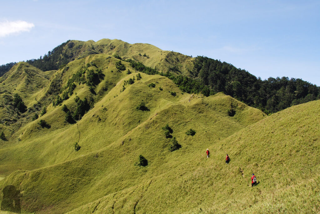 Nenggao-Andongjun Trail (能高安東軍); Hiking on the Dreamy Alpine Grassland Heading to the summit of the last mountain, Andongjunshan
