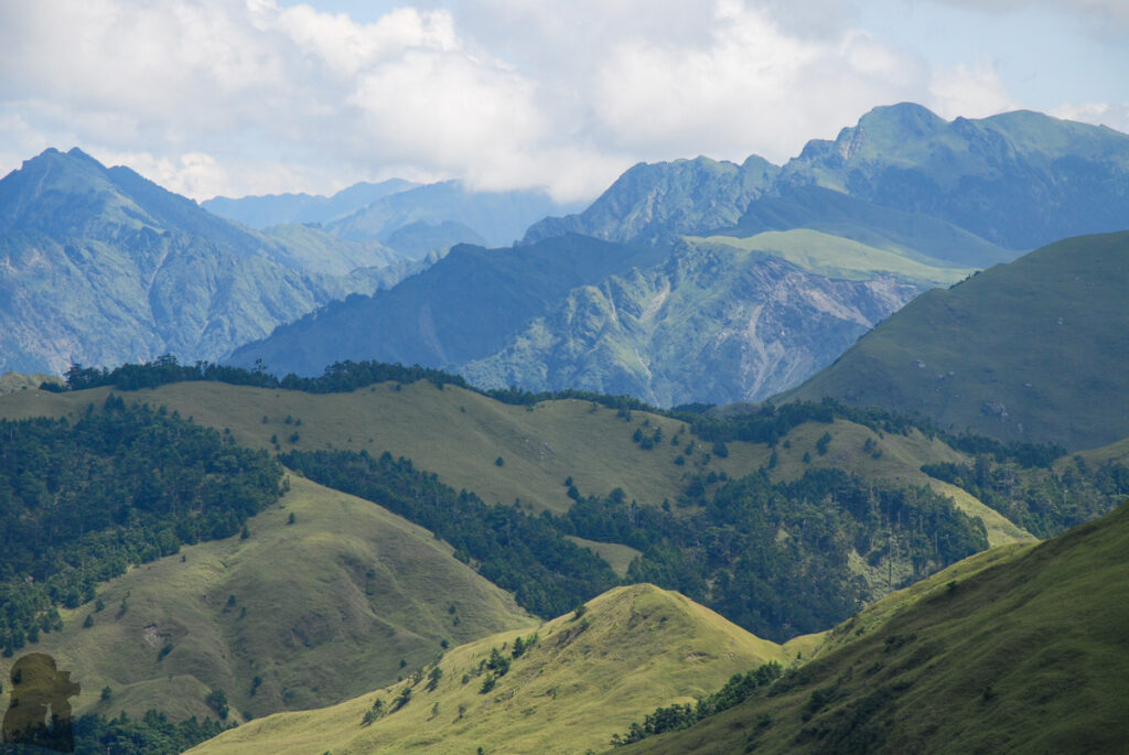Nenggao-Andongjun Trail (能高安東軍); Hiking on the Dreamy Alpine Grassland view from the top of Andongjunshan