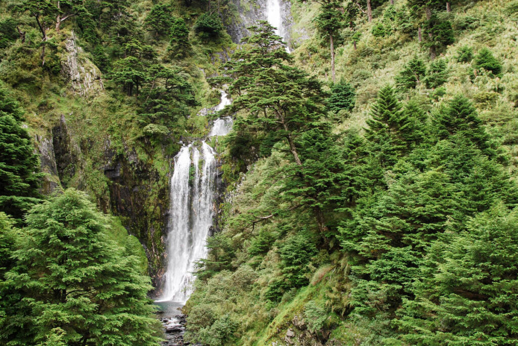 Nenggao-Andongjun Trail (能高安東軍); Hiking on the Dreamy Alpine Grassland Nenggao Falls (能高瀑布)