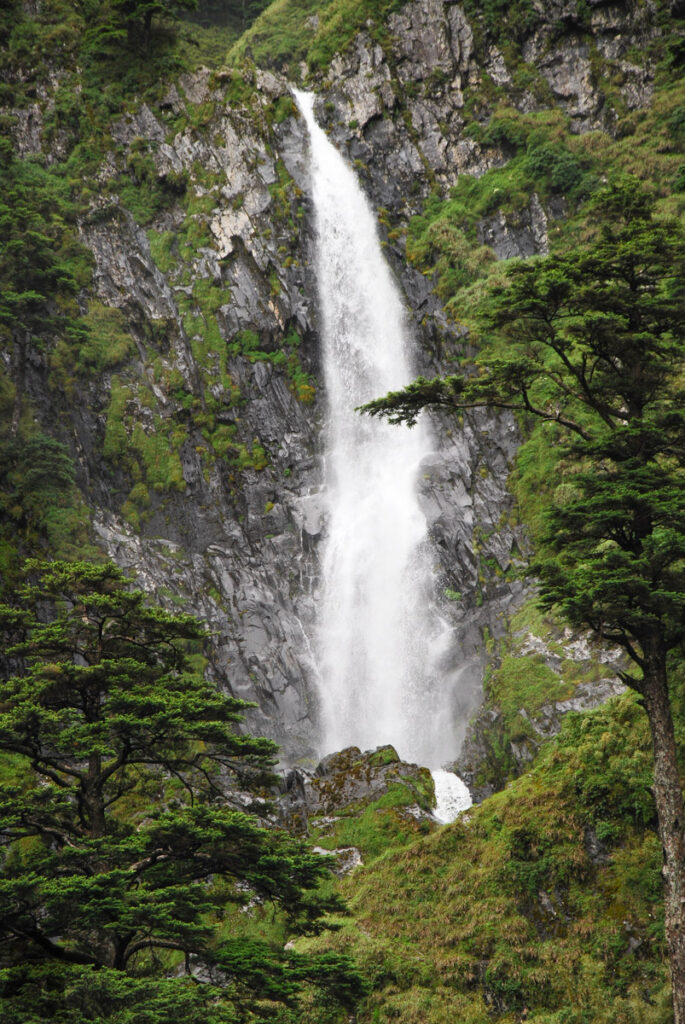 Nenggao-Andongjun Trail (能高安東軍); Hiking on the Dreamy Alpine Grassland Nenggao Falls (能高瀑布)