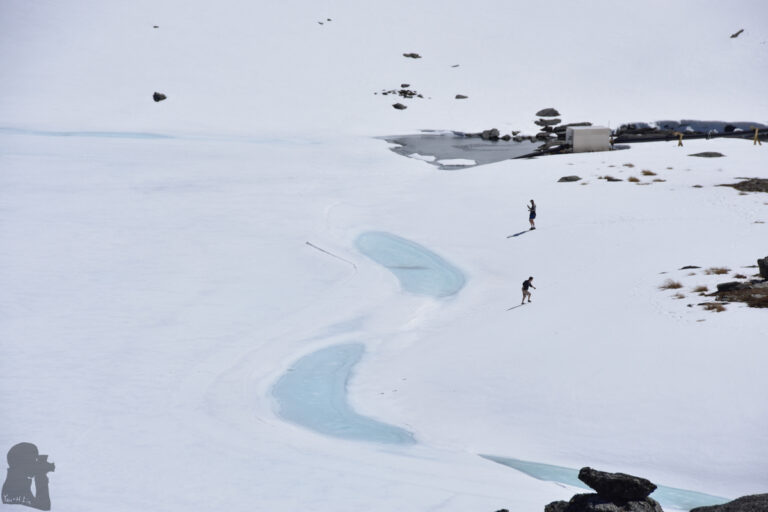 Visitors of Lake Alta