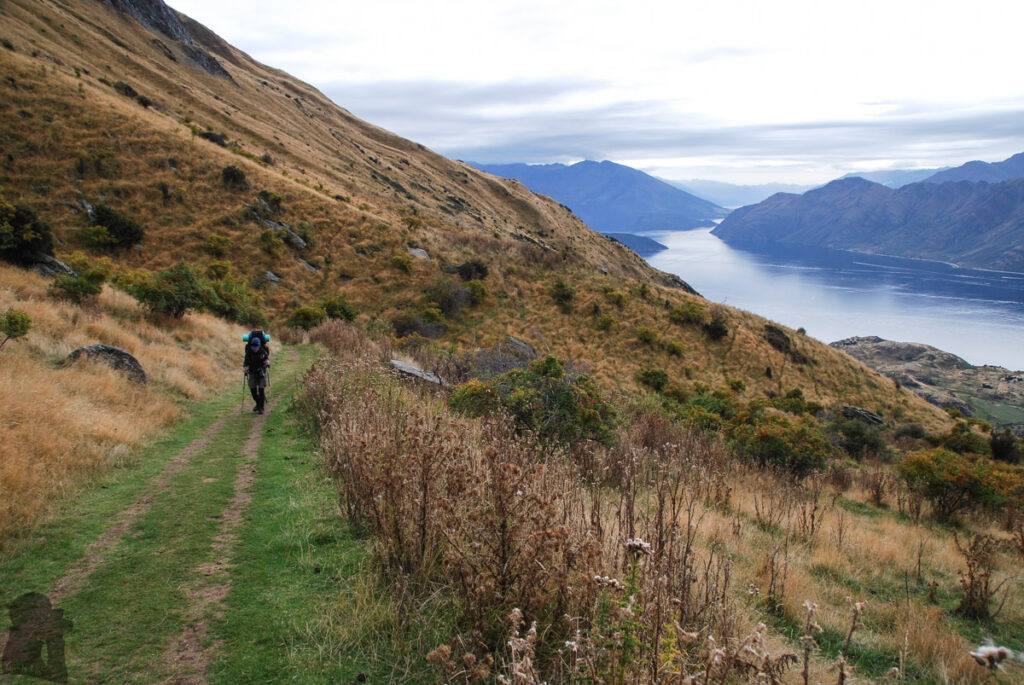 Roys Peak, the Summit with Amazing Scenery over Wānaka that No One Will Forget Roys Peak Track