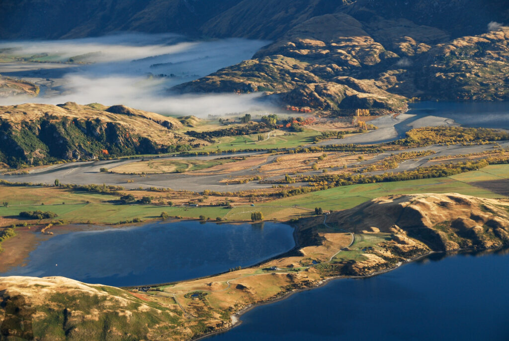 Roys Peak, the Summit with Amazing Scenery over Wānaka that No One Will Forget A random close-up shot