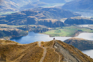 Roys Peak Track