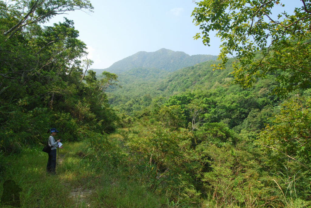 the trail to Baliwanshan