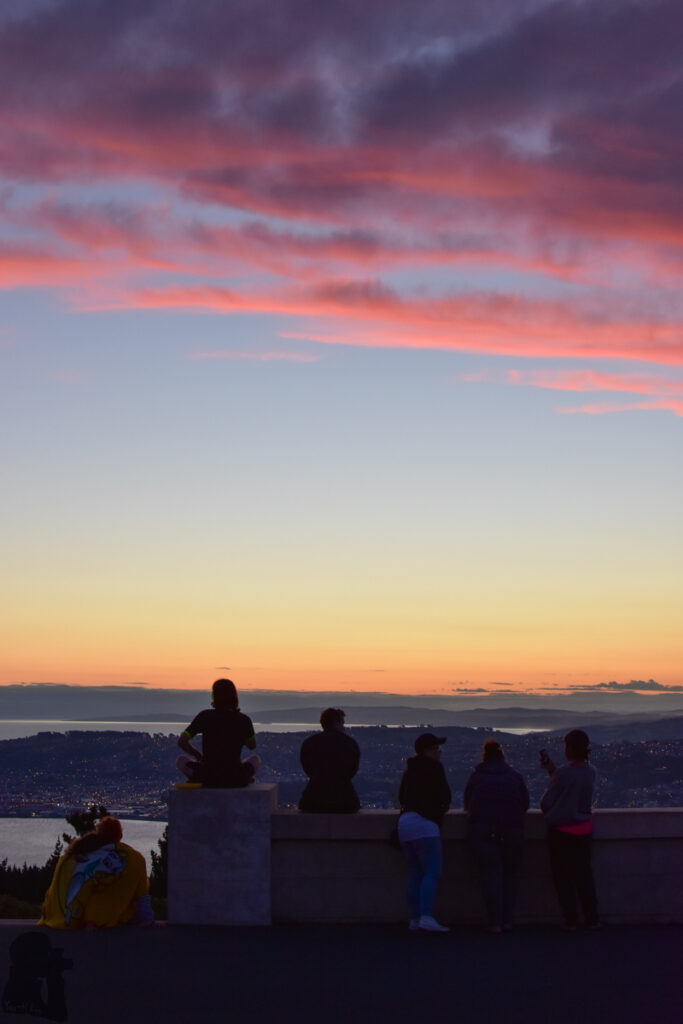 Signal Hill Lookout Dunedin