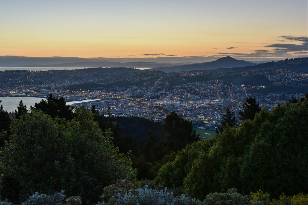 Signal Hill Lookout Dunedin