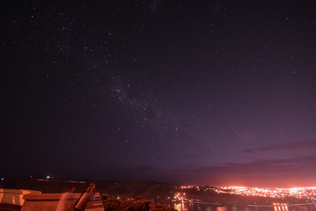 Signal Hill Lookout Dunedin