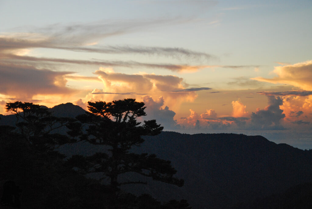 Sinkang Trail (新康橫斷), the Alpine Hike that Traverses Historic Events A gorgeous summer morning in the beginning of our adventure