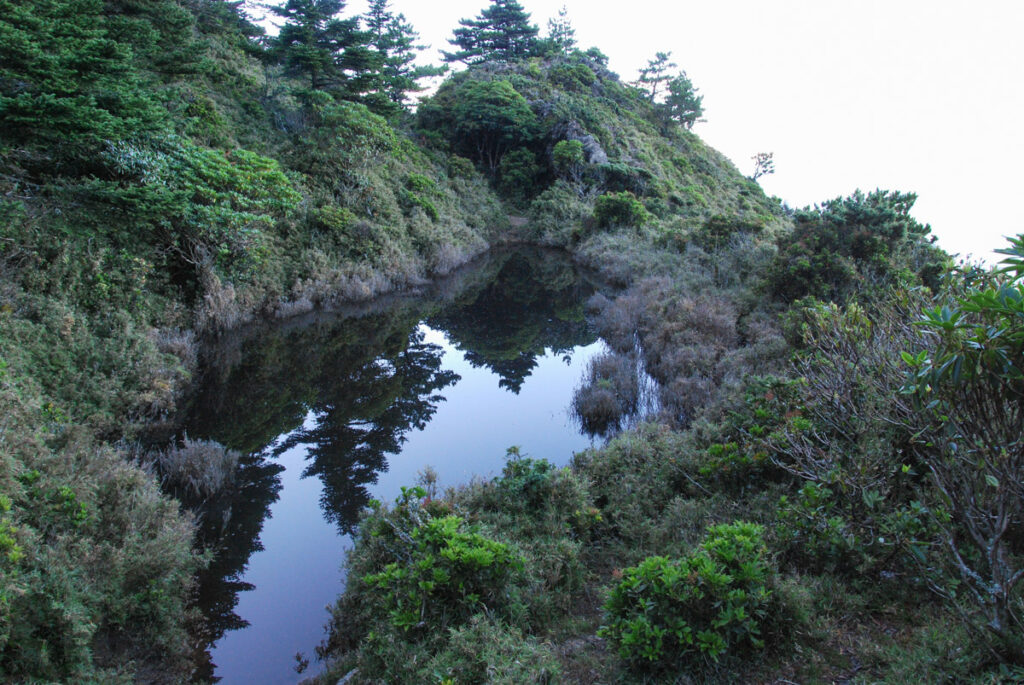 Sinkang Trail (新康橫斷), the Alpine Hike that Traverses Historic Events A small tarn where hikers usually take a break