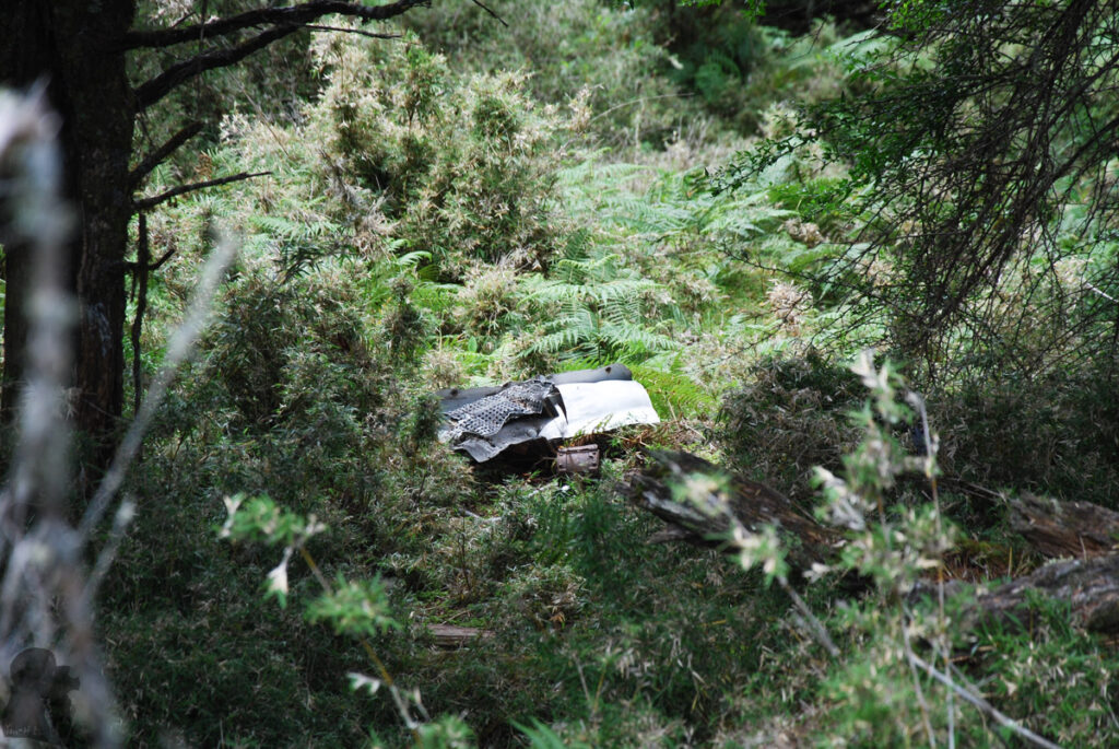 Sinkang Trail (新康橫斷), the Alpine Hike that Traverses Historic Events Wreckage of an airplane