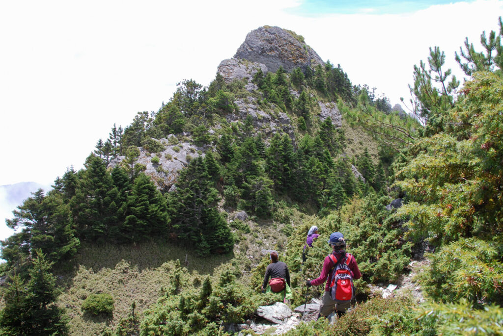 Sinkang Trail (新康橫斷), the Alpine Hike that Traverses Historic Events Sinkang Trail