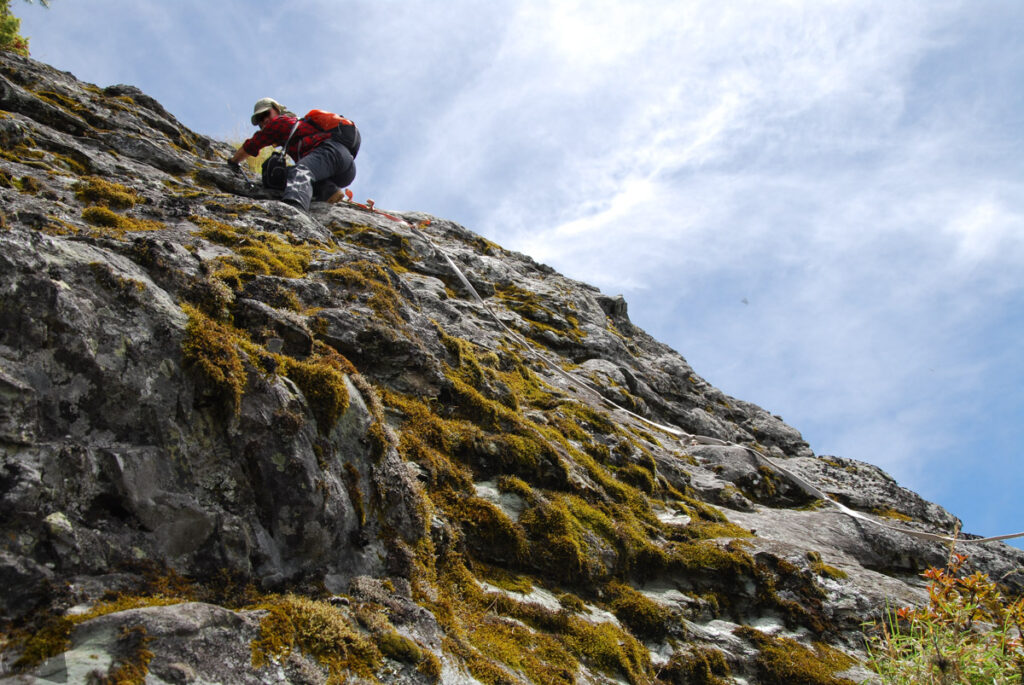 Sinkang Trail (新康橫斷), the Alpine Hike that Traverses Historic Events Tian-gong-bao-lei Sinkangshan