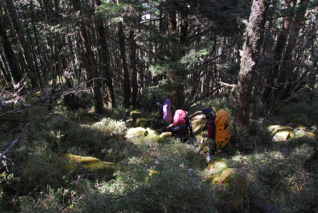 Sinkang Trail (新康橫斷), the Alpine Hike that Traverses Historic Events Starting the big descent to Batongguan Traversing Trail