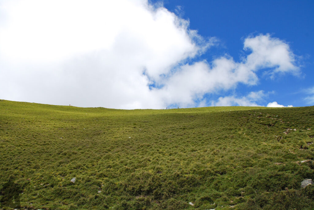 Sinkang Trail (新康橫斷), the Alpine Hike that Traverses Historic Events The meadow below Sanchashan