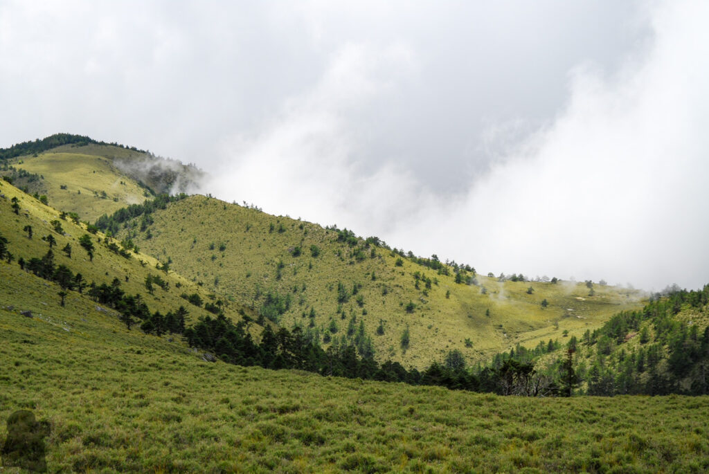 Sinkang Trail (新康橫斷), the Alpine Hike that Traverses Historic Events The landscape around Jiaming Lake