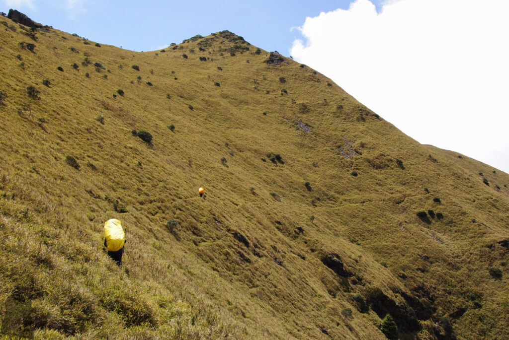 Xuejian Trail (雪劍縱走), Walking on a Prominent Ridge of Snow Mountain Passing under the Jiannanjianshan, not a Baiyue; So only some hikers would go to the top.