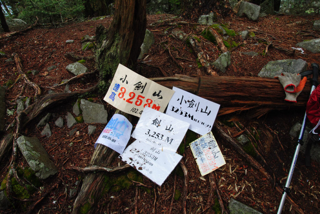 Xuejian Trail (雪劍縱走), Walking on a Prominent Ridge of Snow Mountain On the top of Siaojianshan