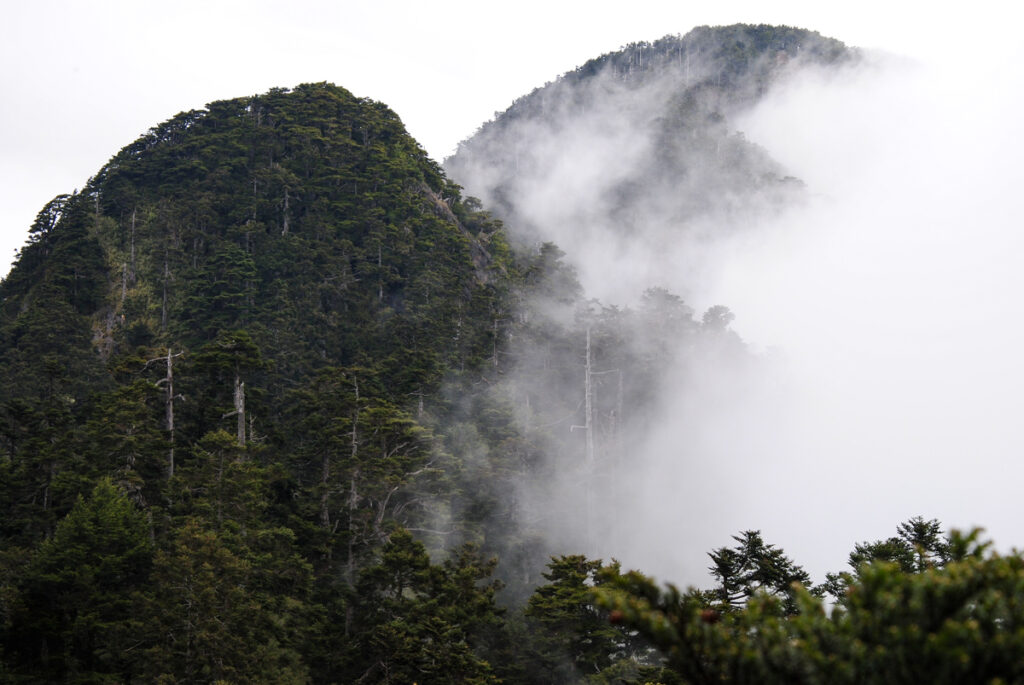 Xuejian Trail (雪劍縱走), Walking on a Prominent Ridge of Snow Mountain Bufucihanshan (布伕奇寒山)