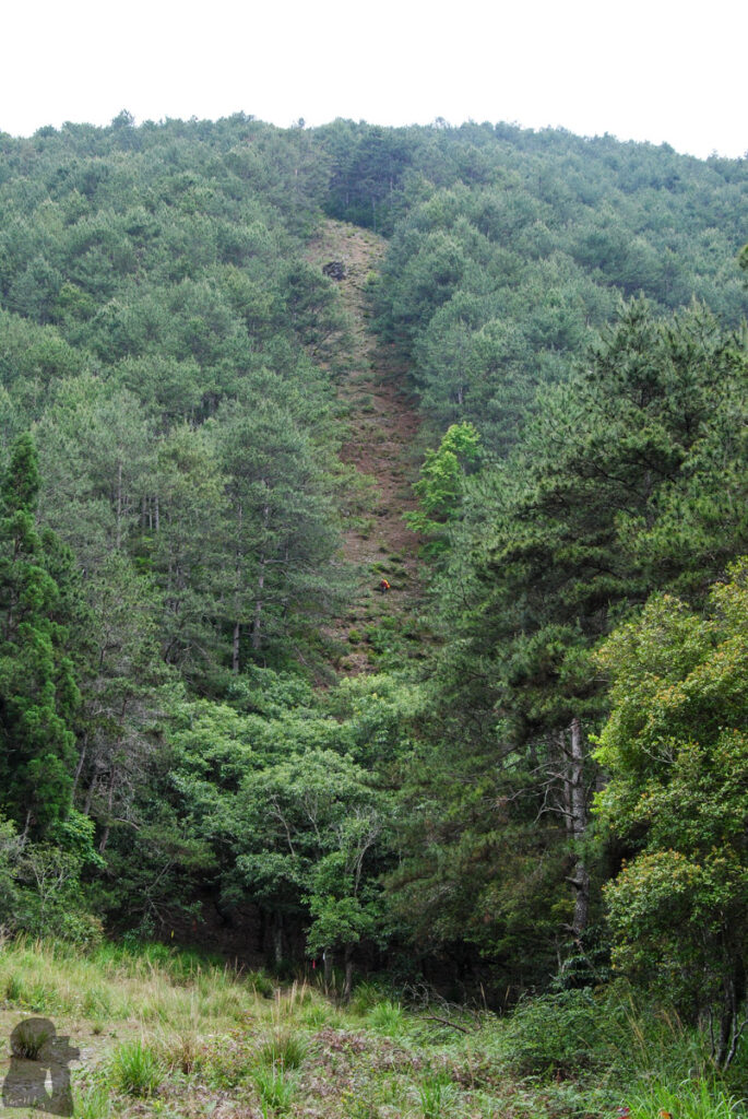 Xuejian Trail (雪劍縱走), Walking on a Prominent Ridge of Snow Mountain The Sky Stair above Songmao Forest Road