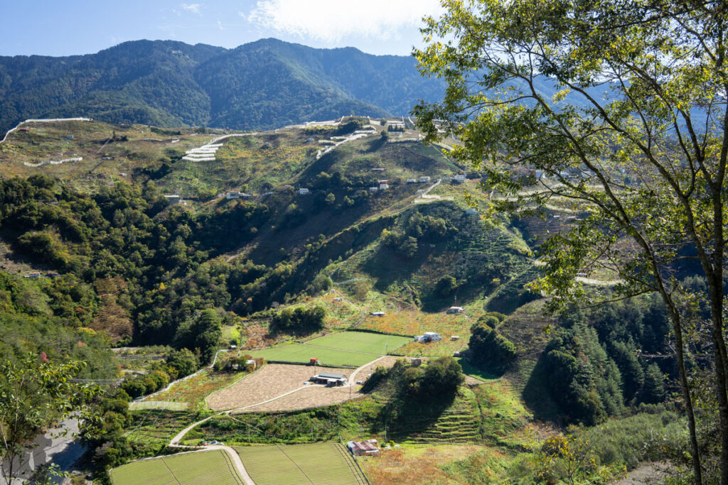 Xuejian Trail (雪劍縱走), Walking on a Prominent Ridge of Snow Mountain the view along Songmao Forest Road