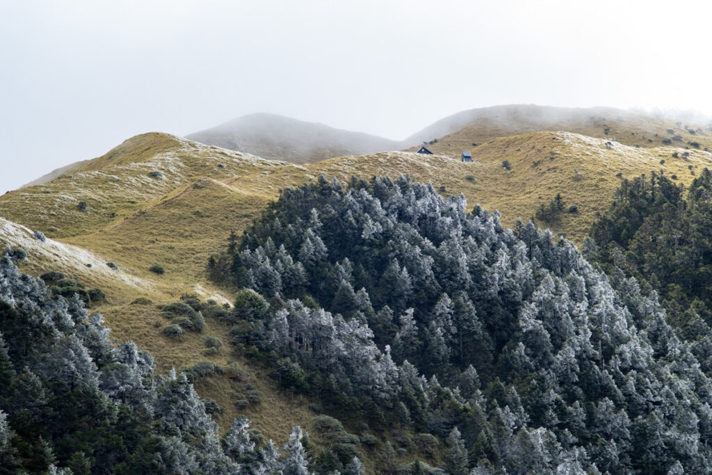 Xuejian Trail (雪劍縱走), Walking on a Prominent Ridge of Snow Mountain Youpolan Cabin