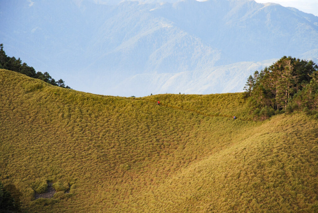 The grassy slope before Zhijiayangdashan
