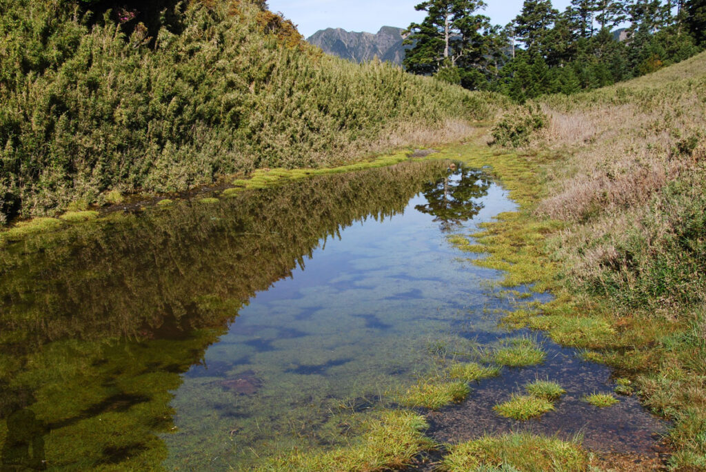 Piaodan Pond