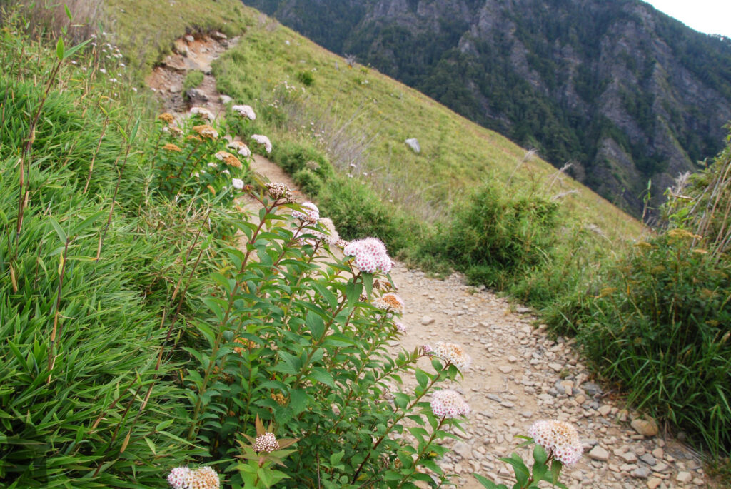 Xueshan Trail
