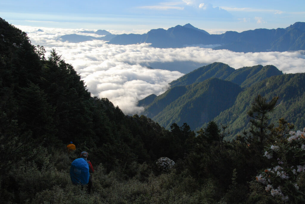 Mt. Bilu - Mt. Yangtou (畢祿羊頭), a Short Alpine Traverse above the Highway Setting off toward Jushan