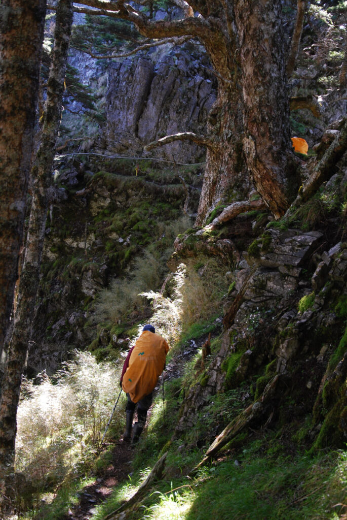 Mt. Bilu - Mt. Yangtou (畢祿羊頭), a Short Alpine Traverse above the Highway Yangtoushan Bilushan