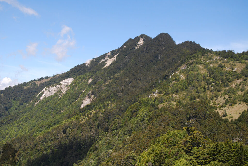 Mt. Bilu - Mt. Yangtou (畢祿羊頭), a Short Alpine Traverse above the Highway Looking back the peaks of Jushan