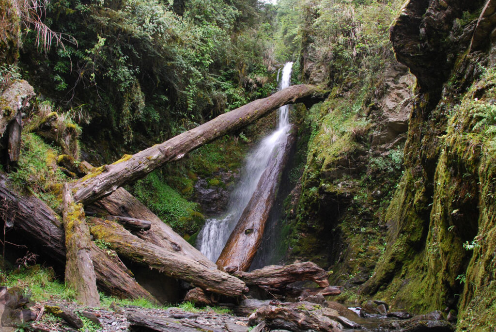 Mt. Bilu - Mt. Yangtou (畢祿羊頭), a Short Alpine Traverse above the Highway a waterfall