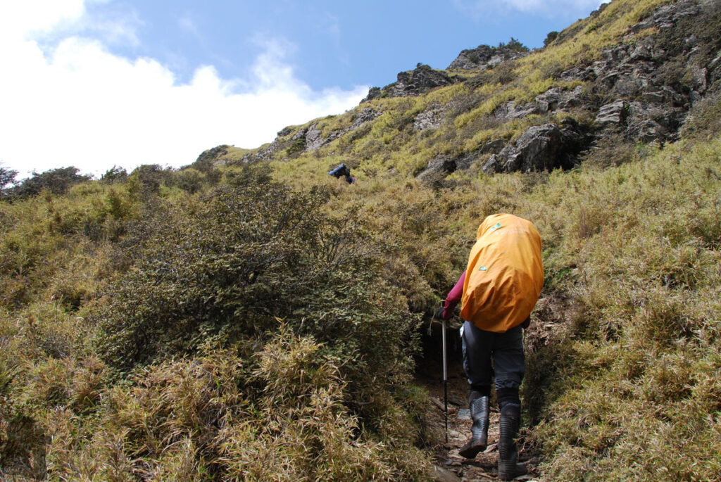 Mt. Bilu - Mt. Yangtou (畢祿羊頭), a Short Alpine Traverse above the Highway The trail after leaving the forest road becomes steep.