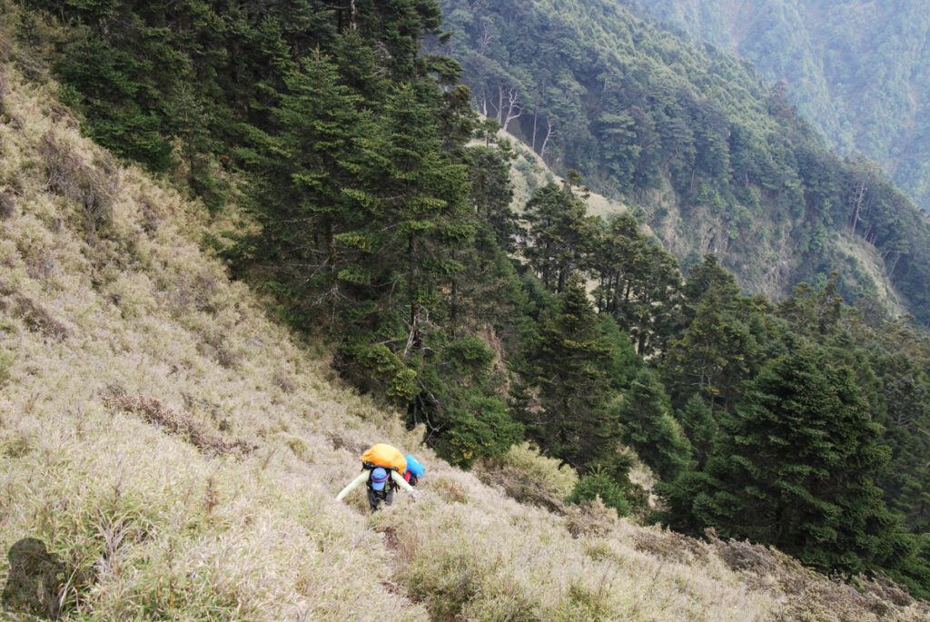 Mt. Bilu - Mt. Yangtou (畢祿羊頭), a Short Alpine Traverse above the Highway steep trail